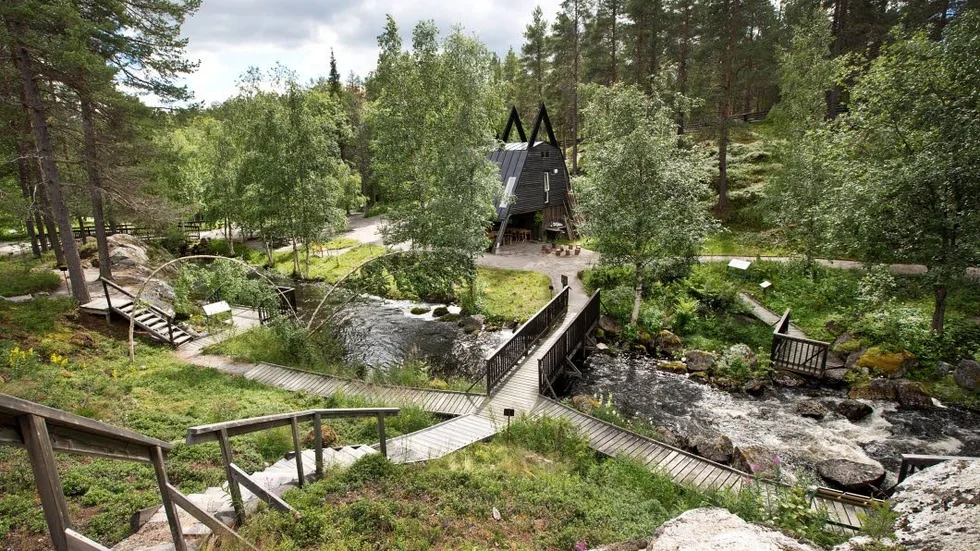 Fjällträdgården är vackert anlagd längs den slingrande Kvarnbäcken. I bakgrunden den speciella informationsbyggnaden med sina spetsiga former.