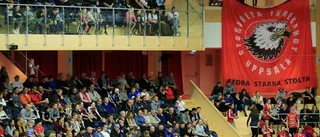 Storvreta går miste om stjärnan