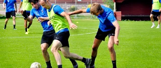Sirius tillbaka efter semestern