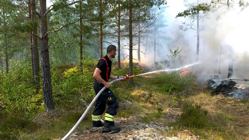 Släcker. Brandman bekämpar en skogsbrand i Hummelstad i maj 2016.