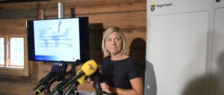 Signalfel i politiken