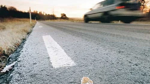 En bil kör i hög hastighet på en landsväg. Under påskhelgen var det många som gjorde likadant på vägarna i Östergötland. Foto: Fredrik Funck/Pressens Bild