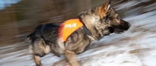 Inbrottstjuv sniffades upp av hund