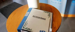 Stenålders bytessystem