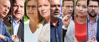 Regeringskaoset – dag för dag