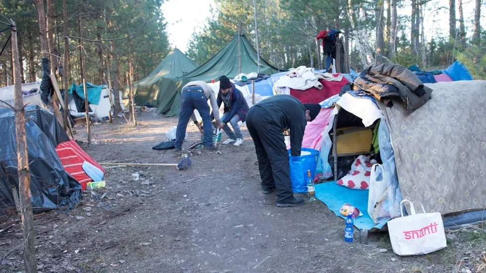Tältläger. Rumänska EU-migranter i Bålsta söder om Uppsala förra året.