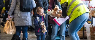 Här finns möjliga boenden för ukrainska flyktingfamiljer: "Inte helt enkelt att ställa om"