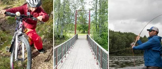 Politikerna säger nej till att bygga en bro över älven – vill prioritera annat