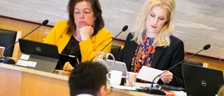 Engelmark efter förvaltningsrättens beslut: "Glädjande"