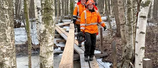 Stor invigning av nya Bredsandslingan på valborg