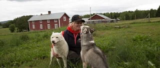 Jobbar heltid med hundar: "drömmen"