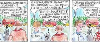 ”Sista natten med gänget”