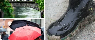 SMHI: Snart dags för höstrusk