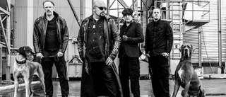 Ännu en bokning  – Power metal-bandet laddar upp inför Summertime