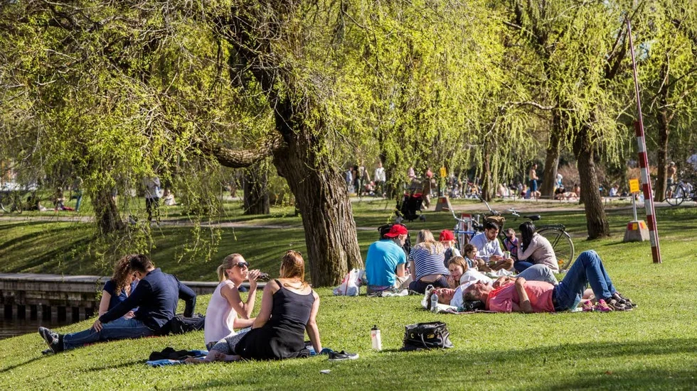Lapa sol, chilla och bara ha det skönt. I dag är den bra dag vädermässigt.