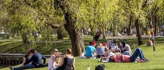 Förslaget: Då blir det tillåtet att dricka alkohol i parkerna