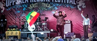 Reggaefestivalen en lugn och kärleksfull fest