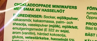 Vem ska sätta stopp för palmoljan?