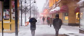 Kan Luleå växa med 1500 personer redan 2025?