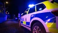 Påverkad restauranggäst slog ordningsvakt