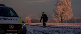 Treåring och mamma död i Norge – pappan häktad