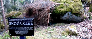 Låt Österskogen i Boxholm få fortsätta leva