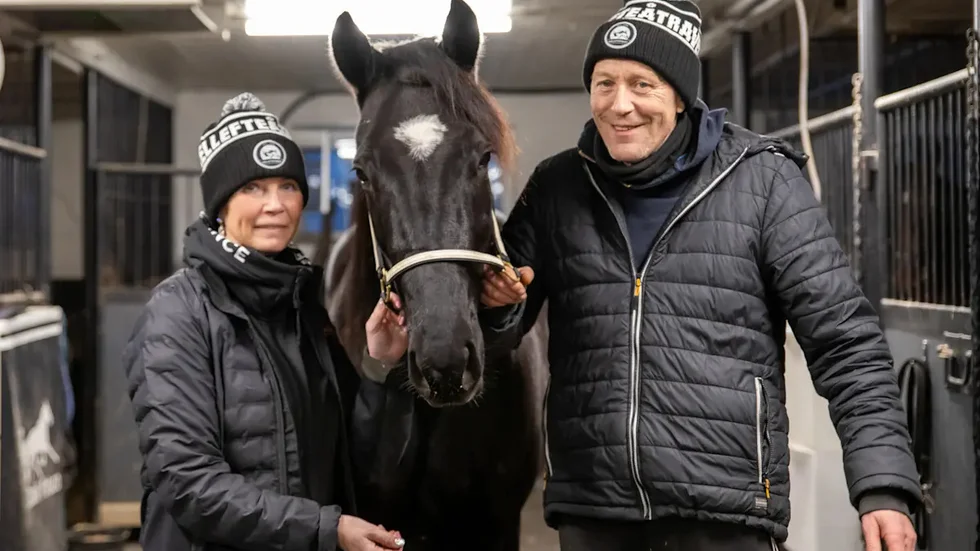 Ann-Catrin Frisk och Ove A Lindqvist har spännande hästen Cool Trix i sitt stall. Till helgen gör hästen en spännande start i V75 i Östersund.