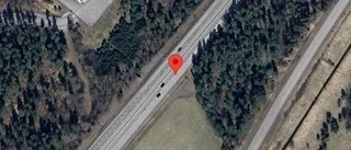 Älg på vägen kan skapa fara på E4