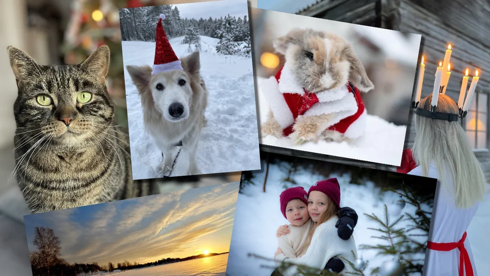 Norrans läsare bidrag med många fina bilder i tävlingen.