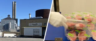 Kända charkföretaget varslar personal: "Har för lite att göra"