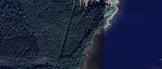 Nya ägaren tar över skogen på Rossören 15 i Kalix Skärgård