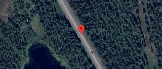 Stopp på väg 95 på grund av en singelolycka