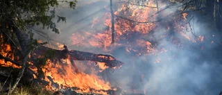 Omfattande gräsbrand spred sig snabbt – hotade byggnad