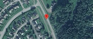Varnar för hund på vägen på väg 503