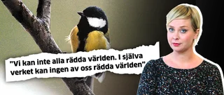 ”Glöm allt du har läst för ingen kommer att sabba det här”