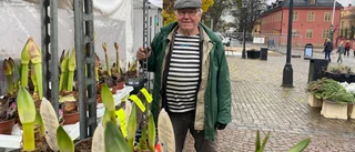 Nya regler för torghandeln – men oklart vad de får för effekt