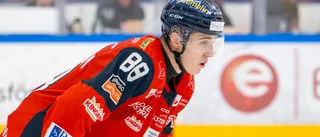 Jämnt in i det sista när VIK föll mot Halmstad Hammers