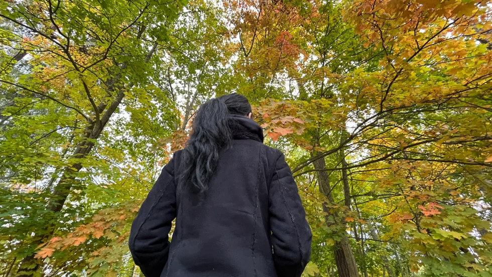 Sandrah vill bli familjehem till sitt barnbarm som redan bor hos henne på heltid. Trots att barnhandläggaren på socialtjänsten vill placera barnet hos hennes mormor säger kommunens rekryteringsenhet nej.