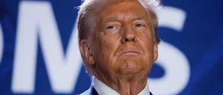 Harris: Trump "vanhelgade" militärkyrkogård