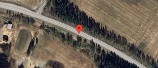 Träd över vägen skapar problem i trafiken på väg 374