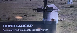 ”Väderkvarnarna i Vamlingbo har aldrig använts vid fiske”
