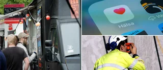 Åtta Skelleftebolag i konkurs – här är företagen som föll