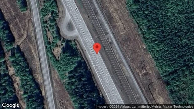 Trafikverket varnar för älg på vägen på väg 97