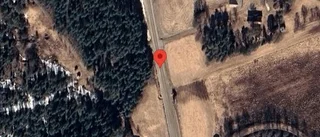 Träd över vägen påverkar trafiken på väg 905