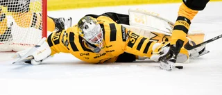 Omöjligt att förstå Skellefteå AIK:s agerande i målvaktscirkusen