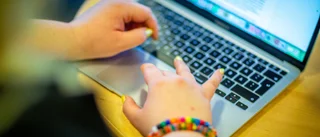 Skolan som SD vill lägga ned är oumbärlig för oss