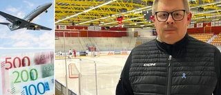 Nya serien kan bli ett dråpslag: "I värsta fall har vi inte råd"