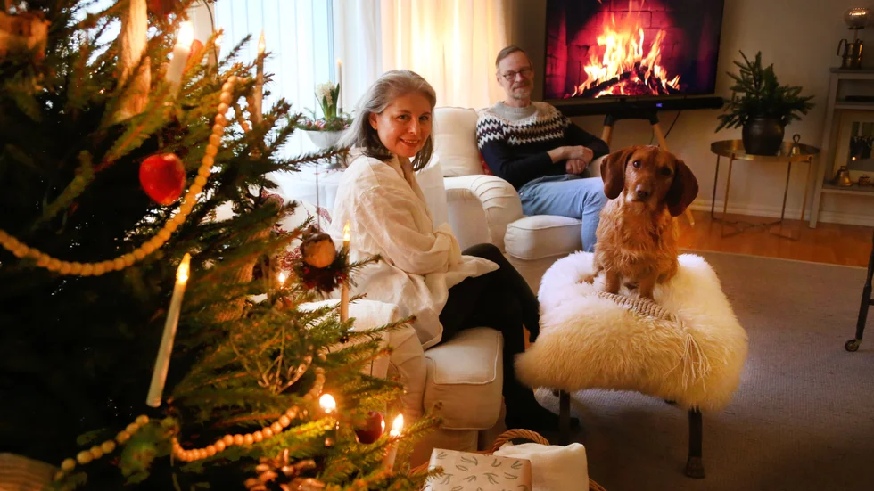 Hunden Teo vann Helagotlands tävling om årets juldjur. Julen firar han med husse och matte Gustaf och Yasmin Carlsson i Follingbo, tyvärr utan vare sig leverpastej eller köttbullar på grund av magen.