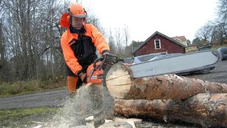 Johan Djerf sysslar också med att ta ned träd som står besvärligt till. Här visar han en av sina extrema sågar, med ett enormt svärd. Foto: Hans Brandin