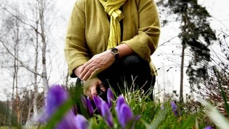 Mariann Teurnell Söderlund känner sig ganska nöjd med att gå i pension. - Jag tappar ingenting när jag går, det känner jag.Foto: Anders Steiner
